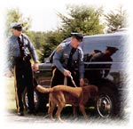 NJ State Police Nab Wawa Robbers